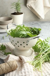 Photo of Fresh green arugula leaves in colander and spool of thread on table