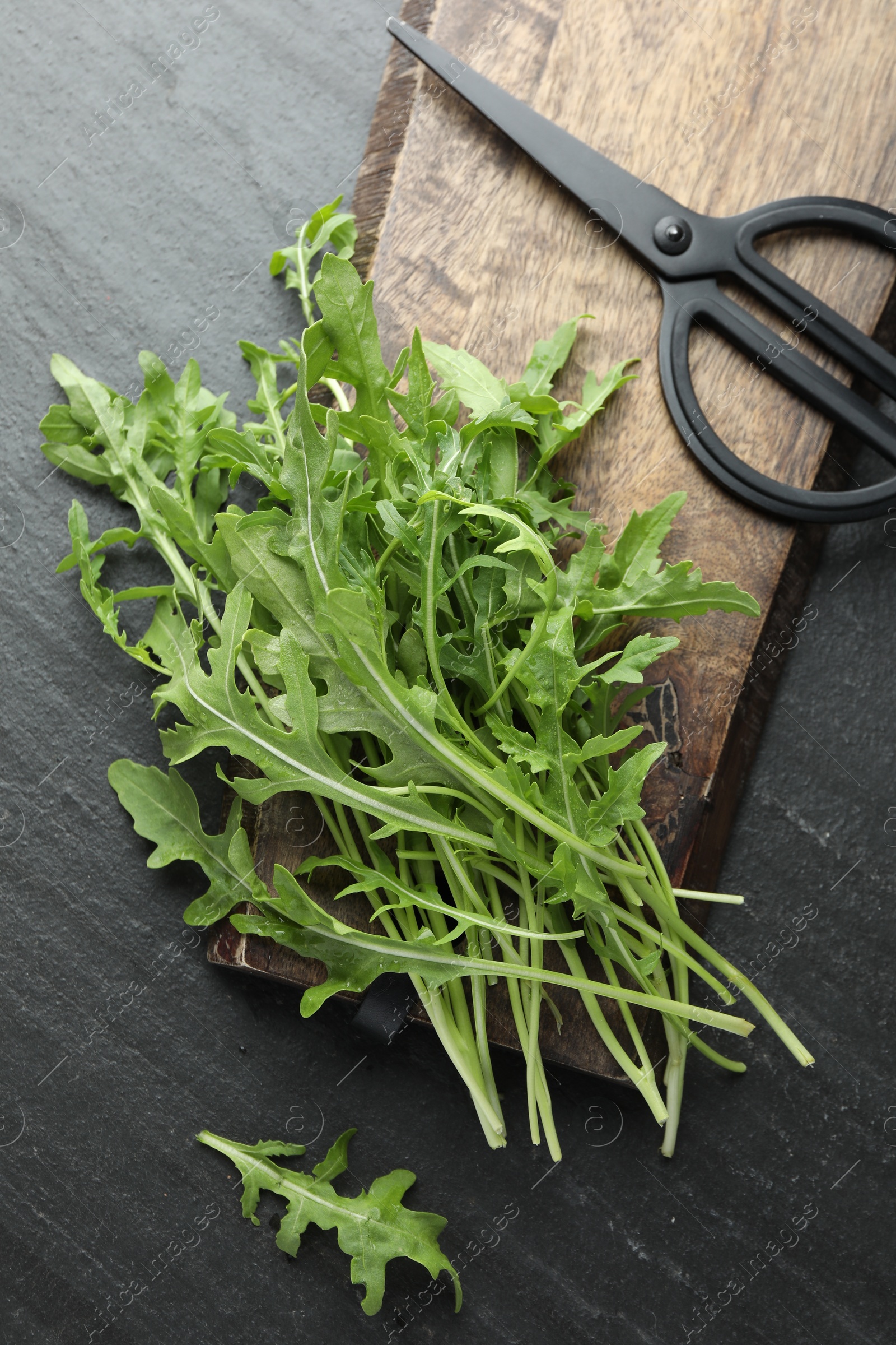 Photo of Fresh green arugula leaves and scissors on grey textured table, flat lay