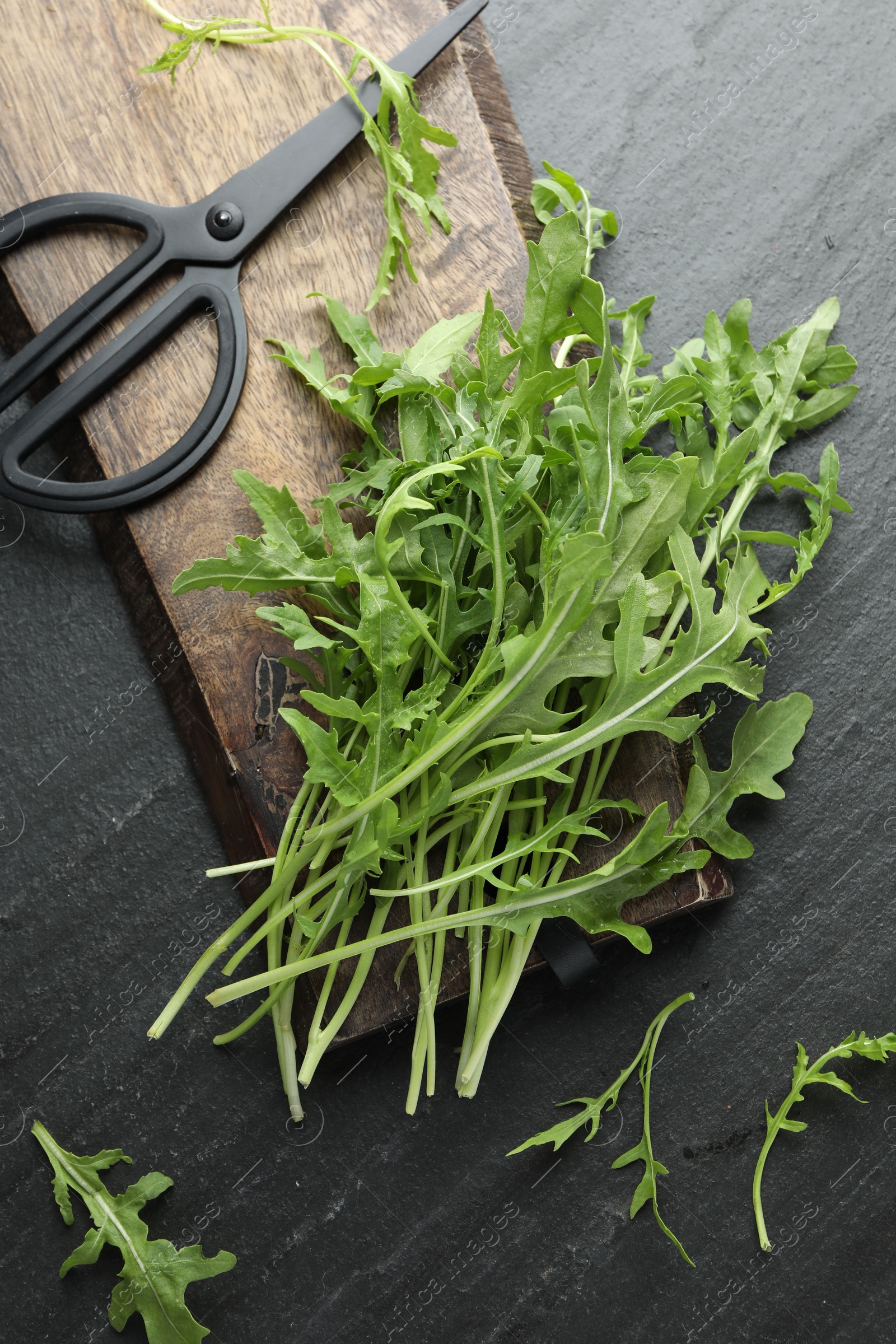 Photo of Fresh green arugula leaves and scissors on grey textured table, flat lay