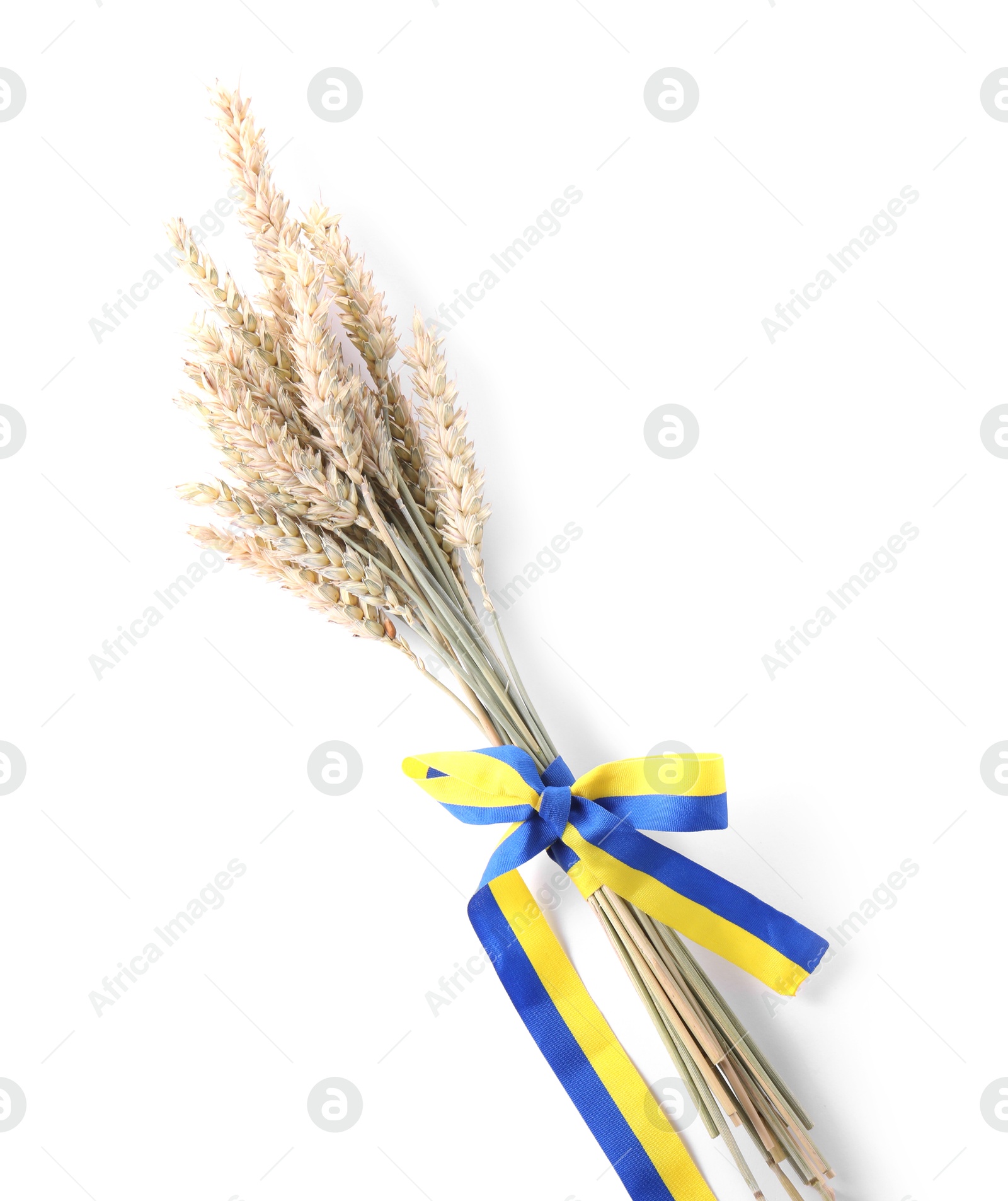 Photo of Ears of wheat with ribbon in colors of Ukrainian national flag isolated on white, above view