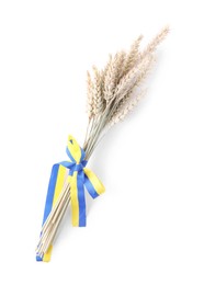 Ears of wheat with ribbon in colors of Ukrainian national flag isolated on white, top view