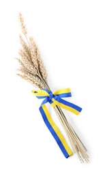 Photo of Ears of wheat with ribbon in colors of Ukrainian national flag isolated on white, top view