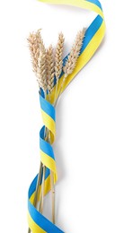 Ears of wheat with ribbon in colors of Ukrainian national flag isolated on white, top view