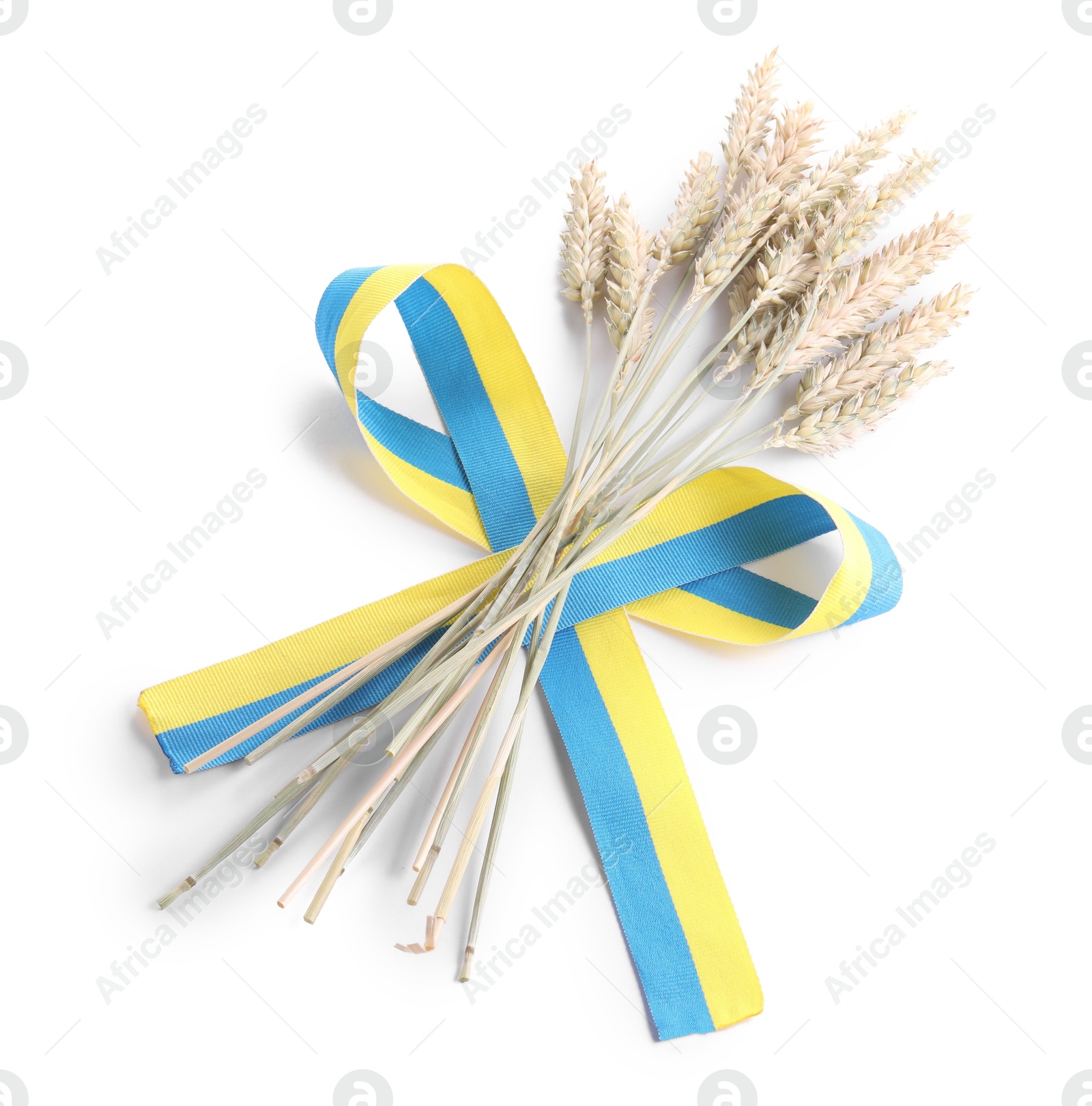 Photo of Ears of wheat with ribbon in colors of Ukrainian national flag isolated on white, above view