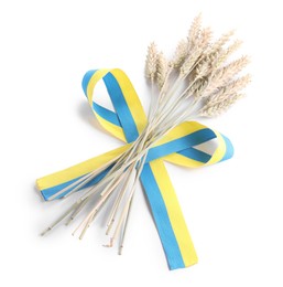 Ears of wheat with ribbon in colors of Ukrainian national flag isolated on white, above view