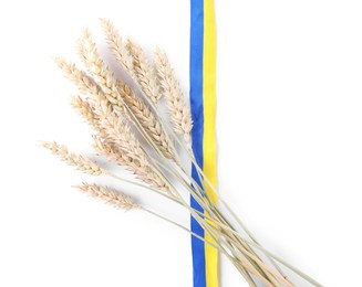 Ears of wheat with ribbon in colors of Ukrainian national flag isolated on white, top view