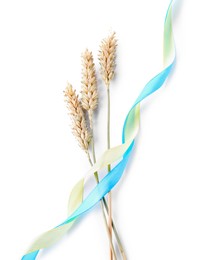 Ears of wheat with ribbons in colors of Ukrainian national flag isolated on white, top view