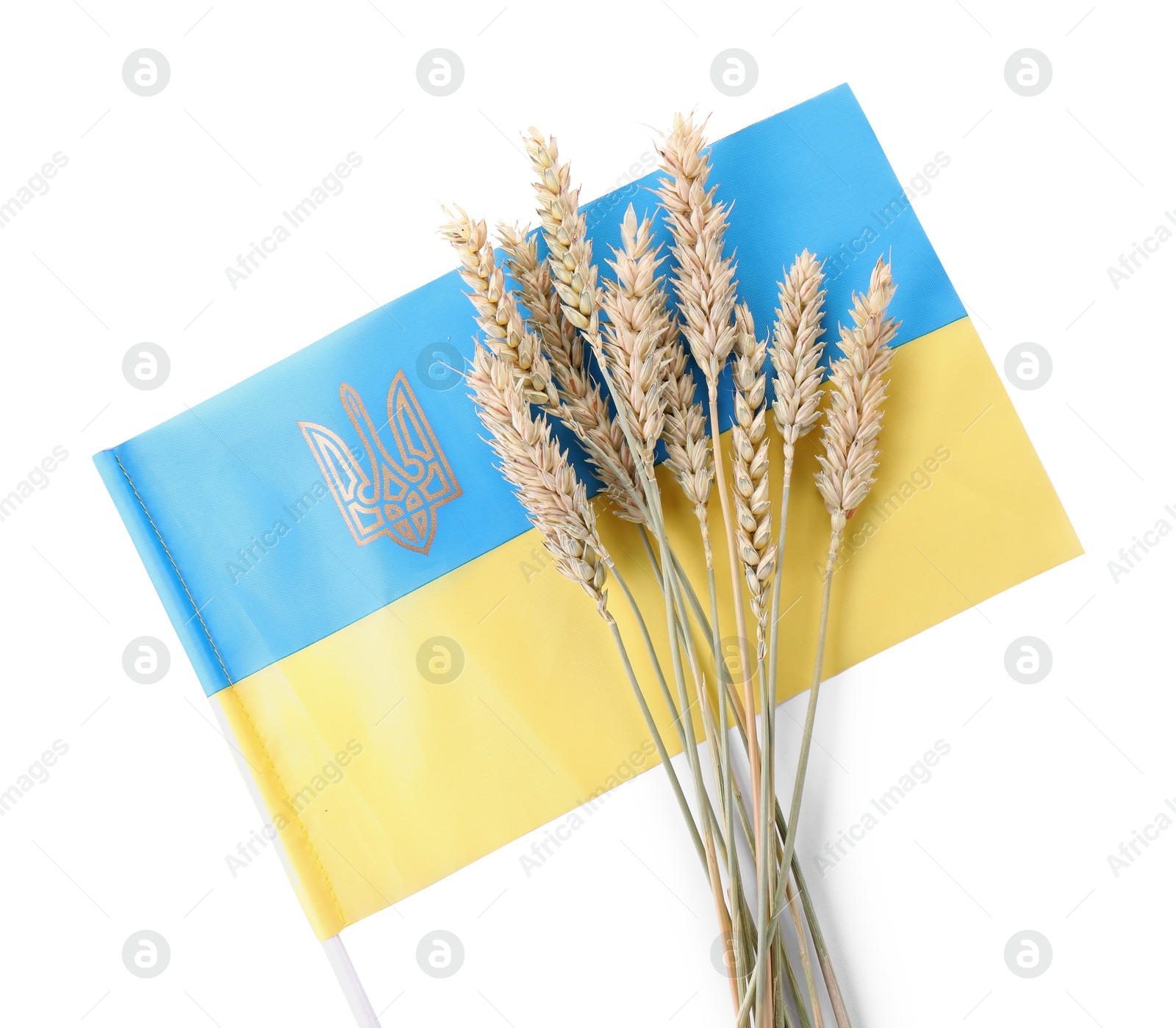 Photo of Ears of wheat and Ukrainian national flag isolated on white, top view