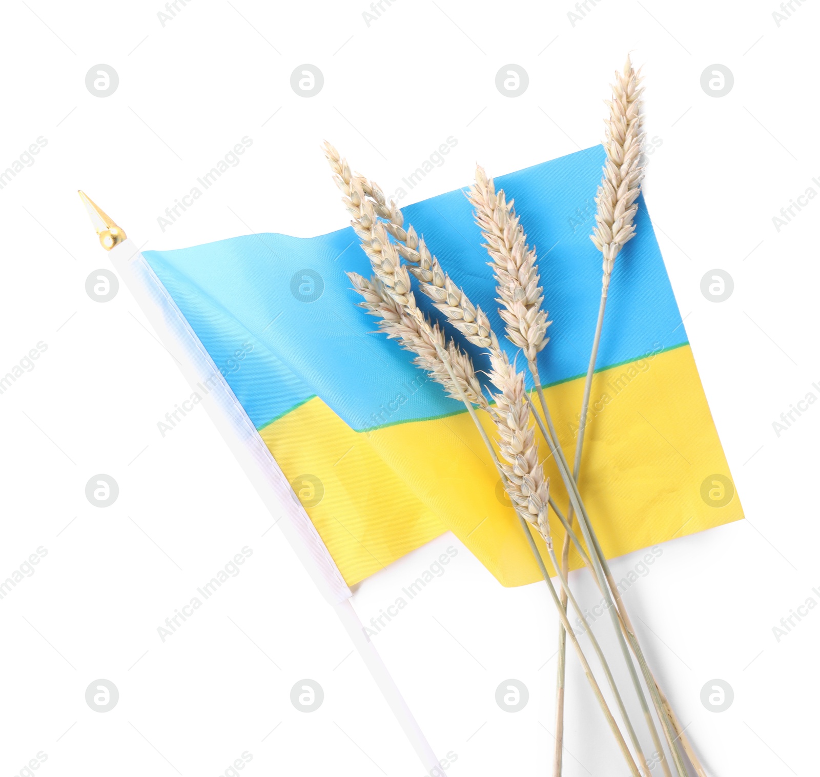 Photo of Ears of wheat and Ukrainian national flag isolated on white, top view