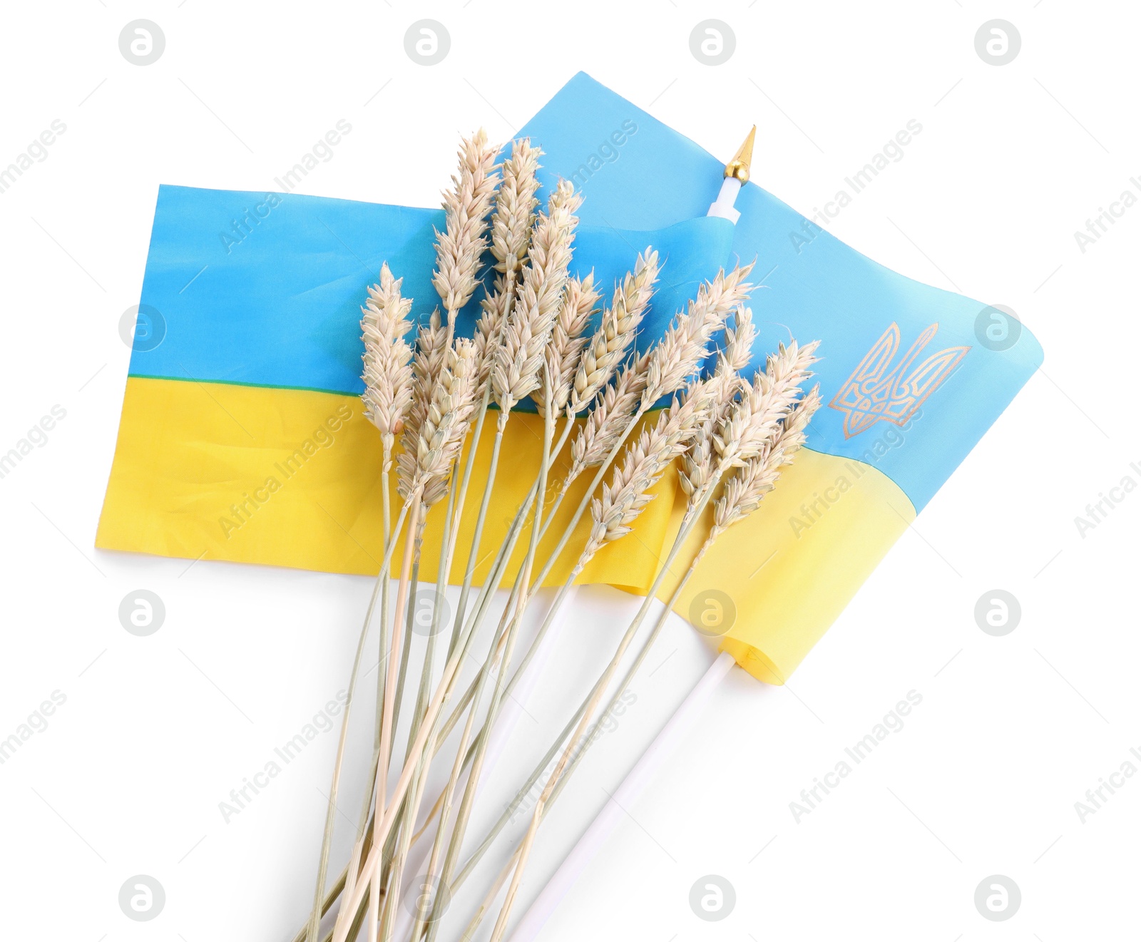 Photo of Ears of wheat and Ukrainian national flag isolated on white, top view