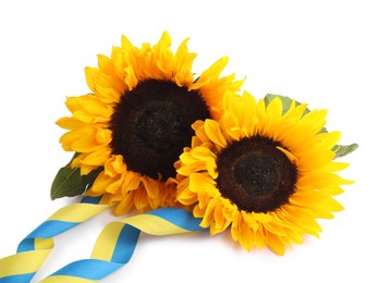 Photo of Sunflowers, leaves and ribbons in colors of Ukrainian national flag isolated on white