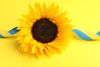 Photo of Sunflower with ribbon in colors of Ukrainian national flag on yellow background