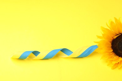 Sunflower with ribbon in colors of Ukrainian national flag on yellow background