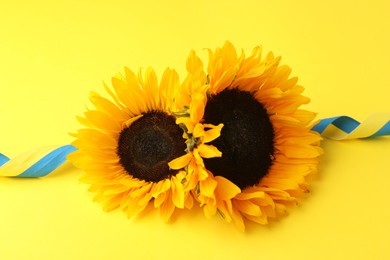 Photo of Sunflowers with ribbon in colors of Ukrainian national flag on yellow background