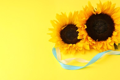 Photo of Sunflowers with ribbons in colors of Ukrainian national flag on yellow background, space for text