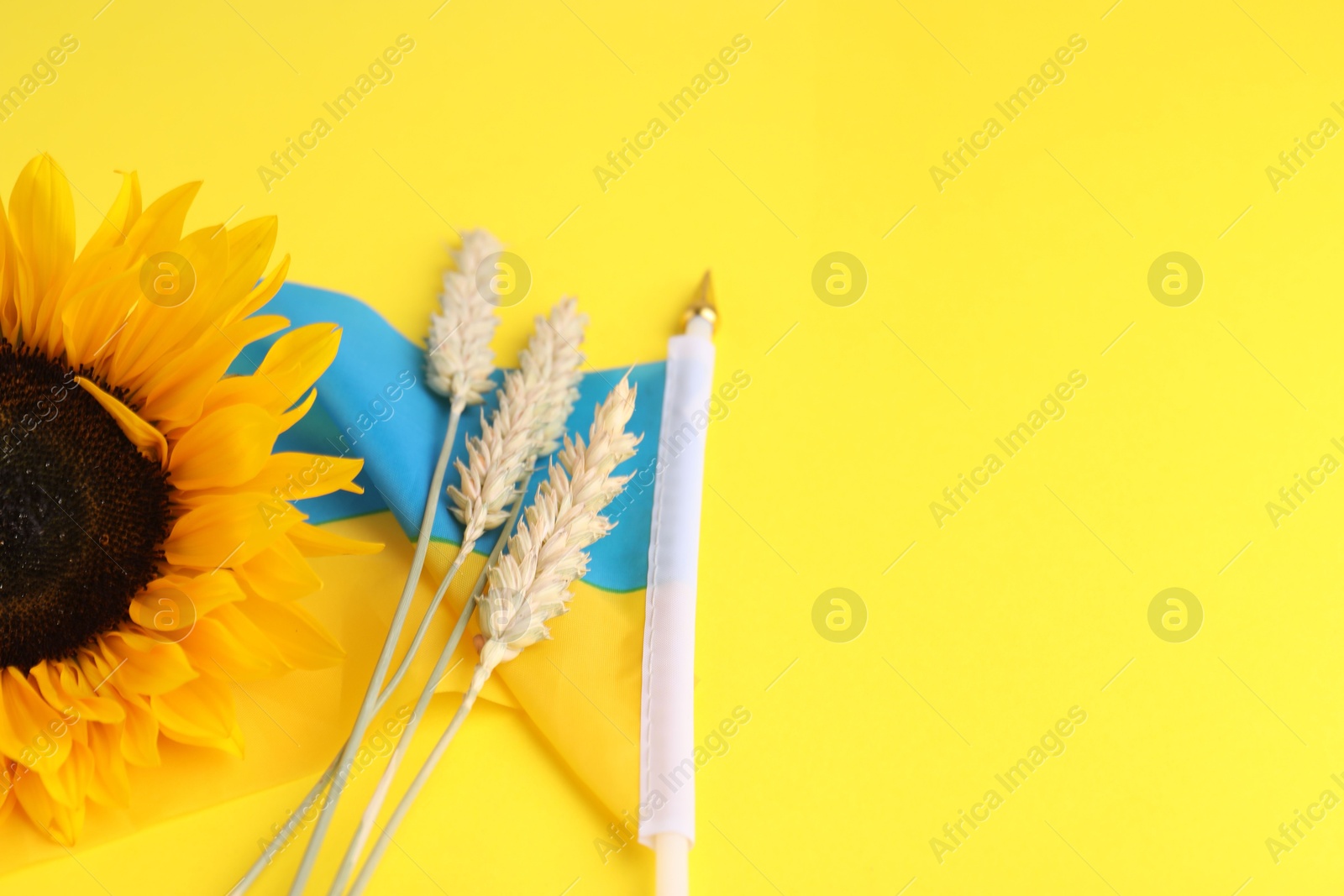 Photo of Ears of wheat, sunflower and Ukrainian national flag on yellow background, closeup. Space for text