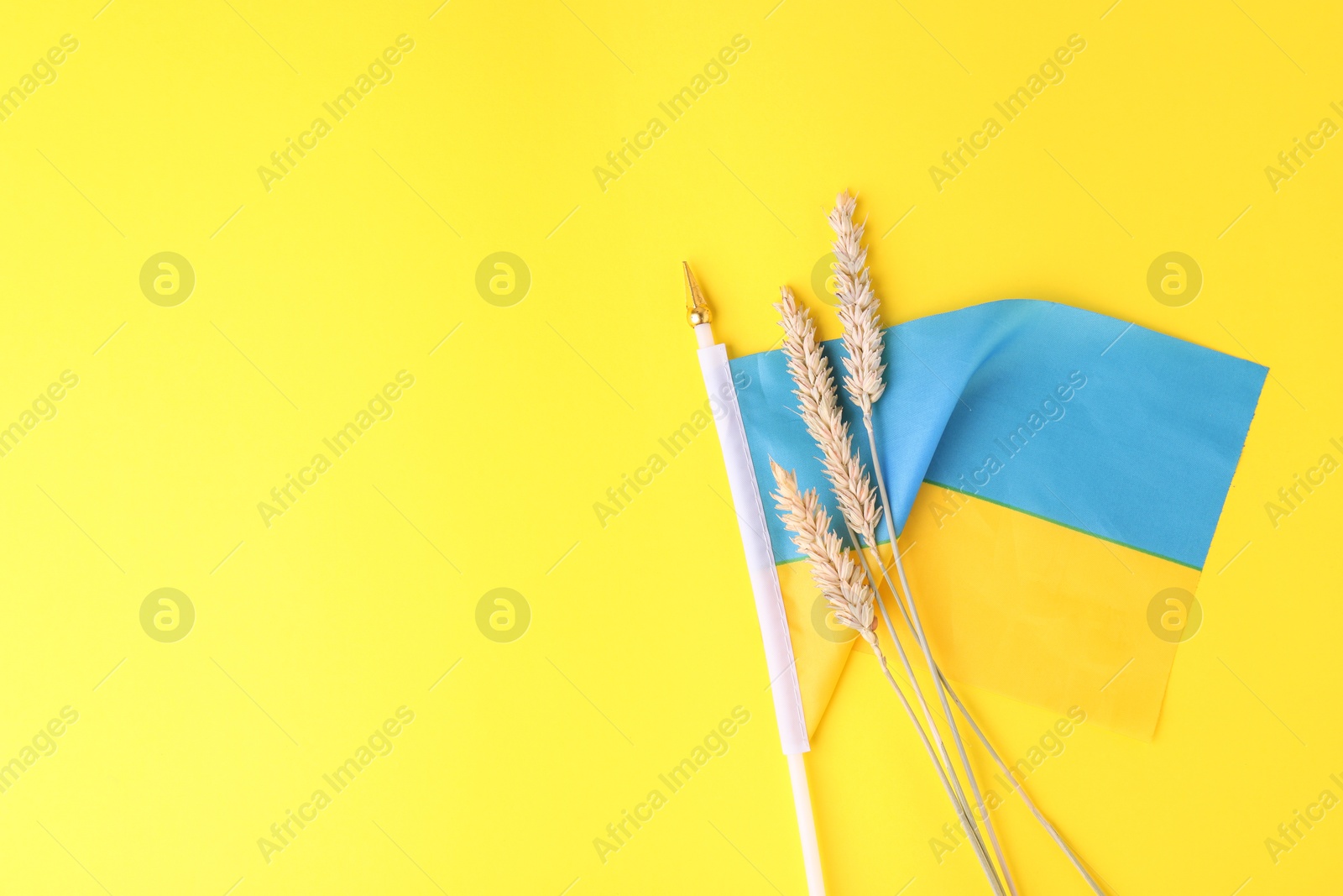 Photo of Ears of wheat and Ukrainian national flag on yellow background, flat lay. Space for text