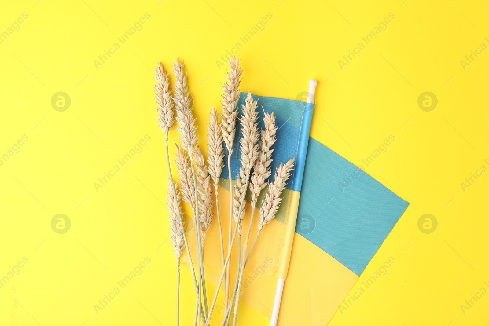 Photo of Ears of wheat and Ukrainian national flag on yellow background, flat lay