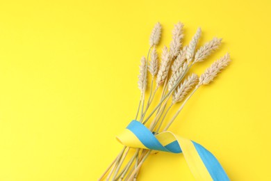 Ears of wheat with ribbon in colors of Ukrainian national flag on yellow background, closeup