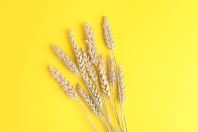 Ears of wheat on yellow background, top view