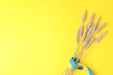 Ears of wheat with ribbon in colors of Ukrainian national flag on yellow background, top view. Space for text