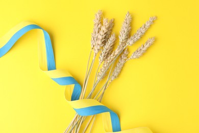 Ears of wheat with ribbon in colors of Ukrainian national flag on yellow background, top view