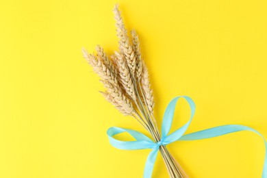 Photo of Ears of wheat with light blue ribbon on yellow background, top view