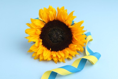 Photo of Sunflower with ribbon in colors of Ukrainian national flag on light blue background