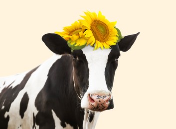 Image of Adorable cow with bright sunflowers on head against beige background