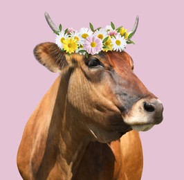 Image of Adorable cow with beautiful flower wreath on pink background