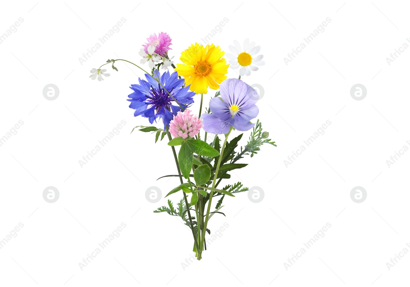 Image of Bouquet of beautiful wildflowers on white background