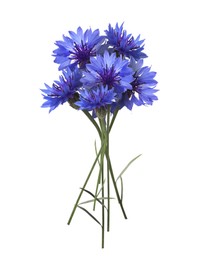 Image of Bouquet of beautiful blue cornflowers on white background