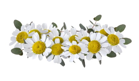 Image of Beautiful wreath of daisy flowers and eucalyptus leaves on white background