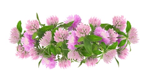 Image of Beautiful wreath of pink flowers on white background