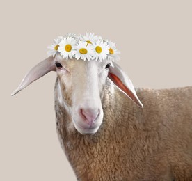 Image of Adorable sheep with beautiful flower wreath on beige background