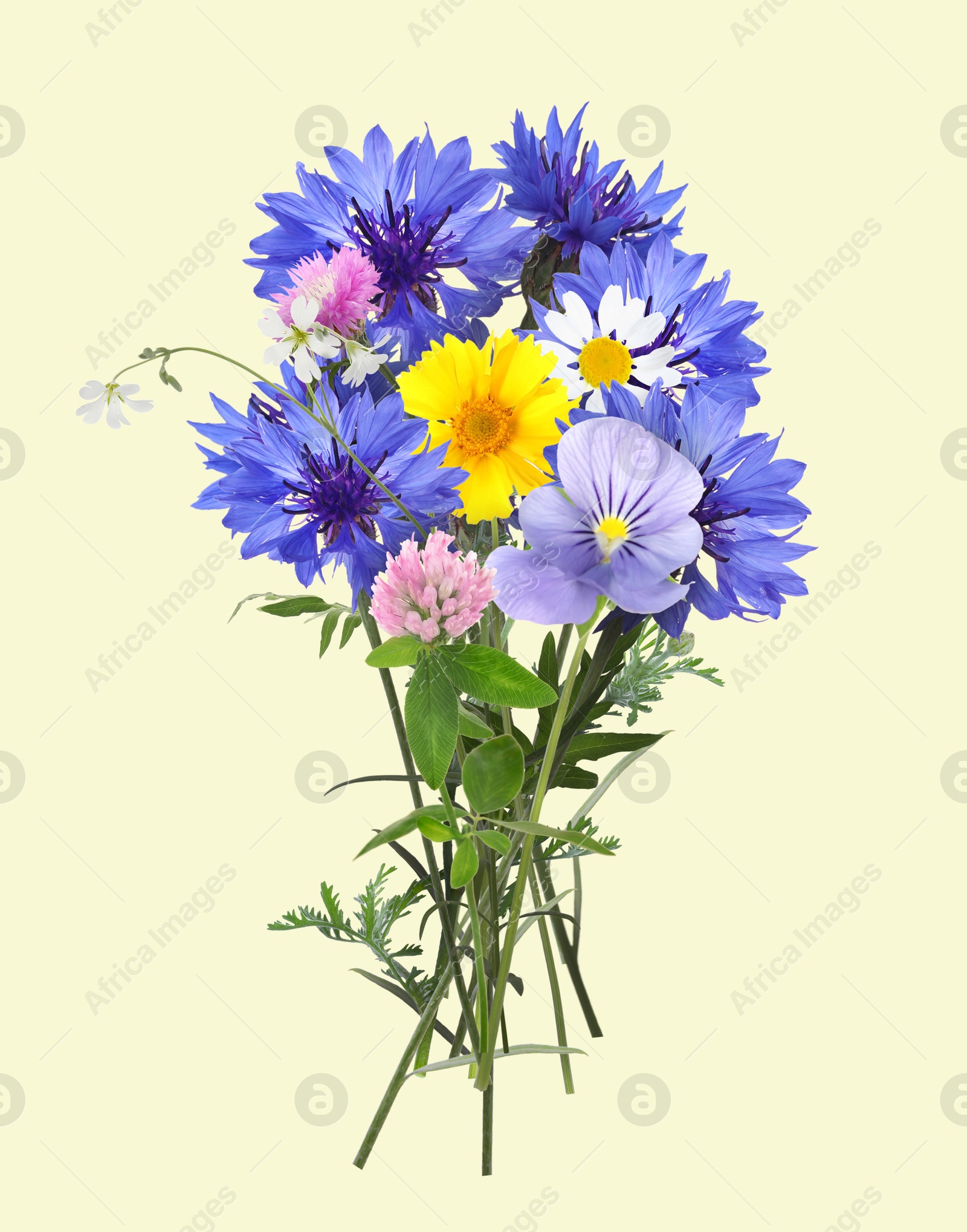 Image of Bouquet of beautiful wildflowers on beige background