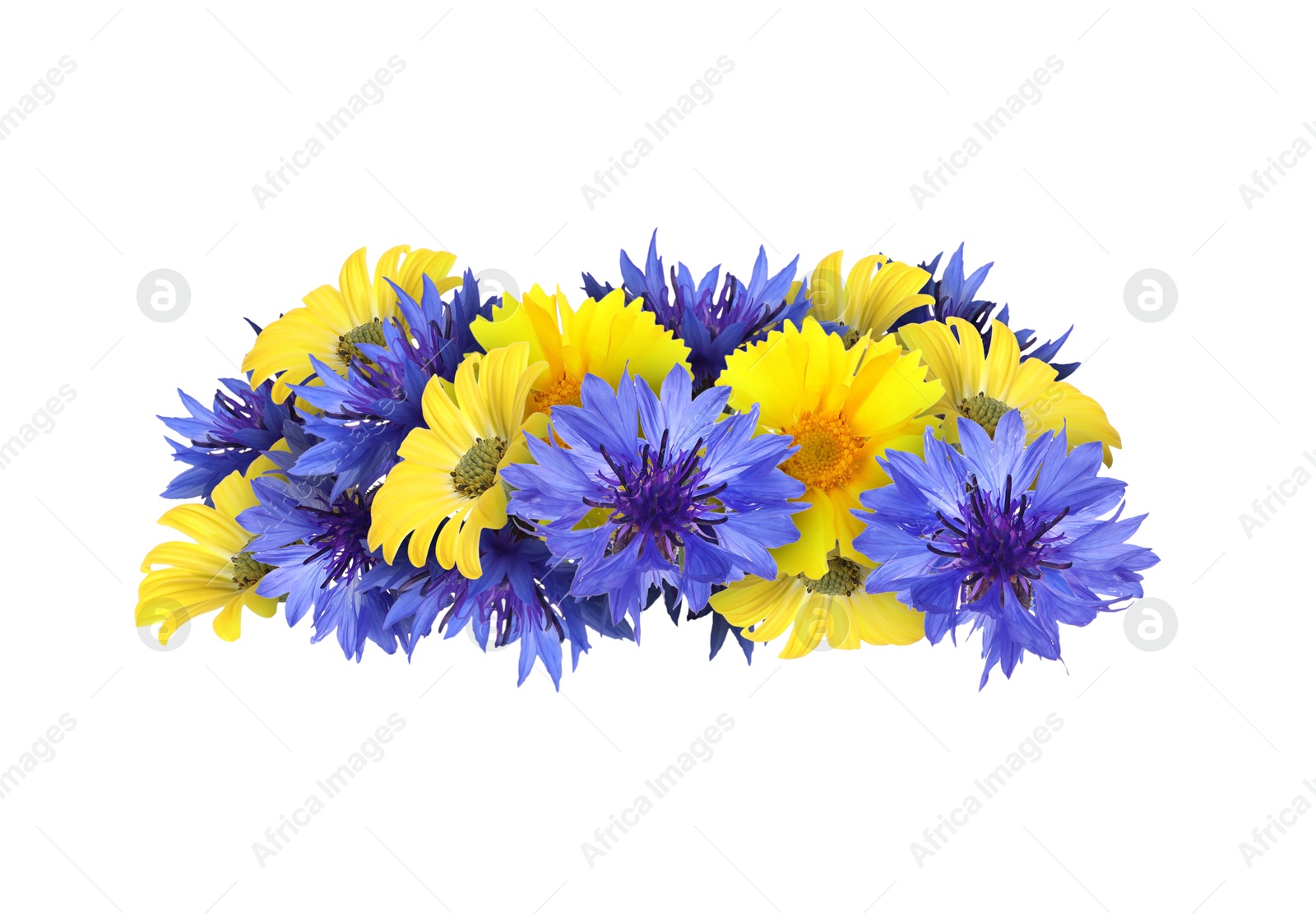 Image of Beautiful wreath of meadow flowers on white background