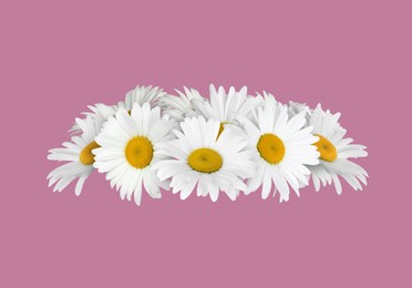 Image of Beautiful wreath of white daisy flowers on dusty pink background