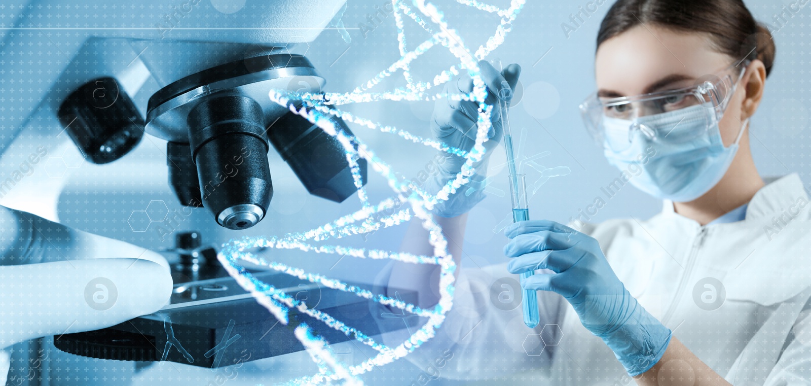 Image of Scientist working in lab, microscope and DNA, multiple exposure. Laboratory analysis. Banner design