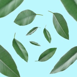 Image of Green leaves whirling on light blue background, selective focus