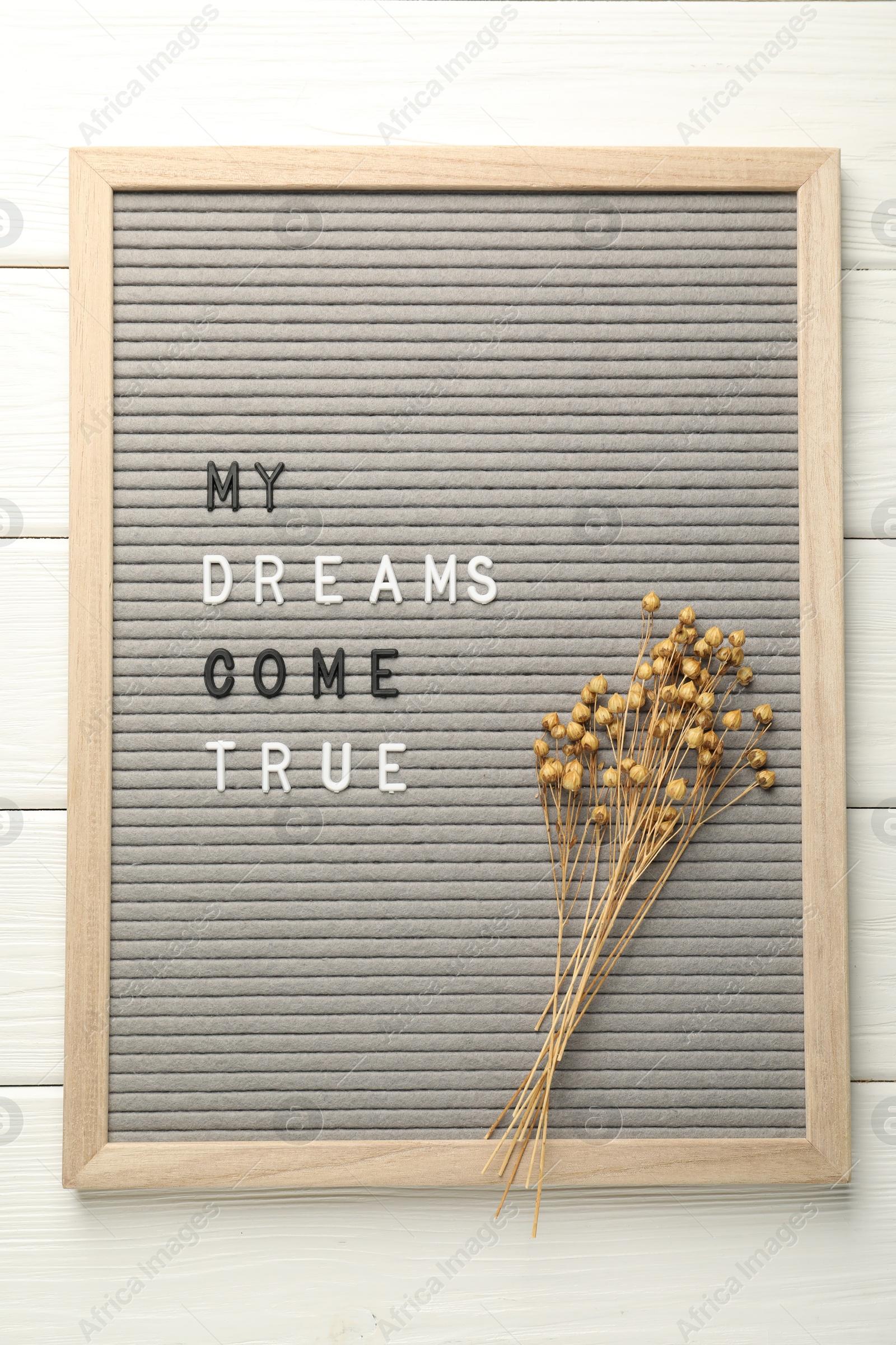 Photo of Letter board with phrase My Dreams Come True and dry plants on white wooden table, top view