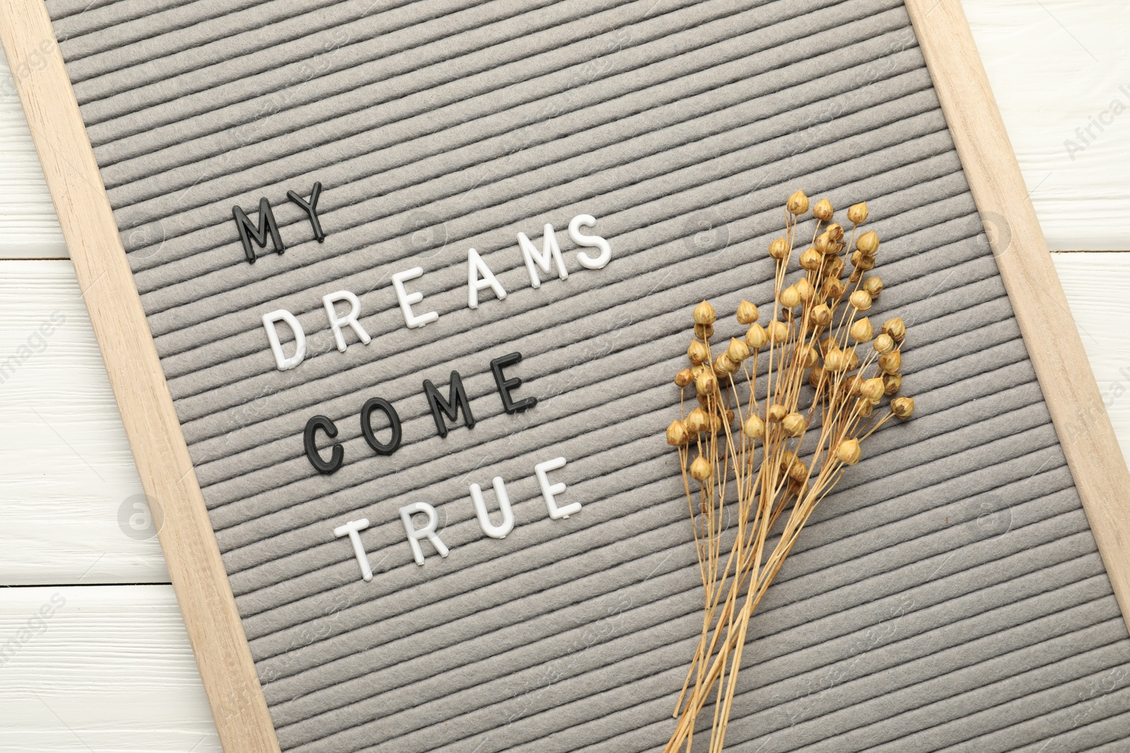 Photo of Letter board with phrase My Dreams Come True and dry plants on white wooden table, top view