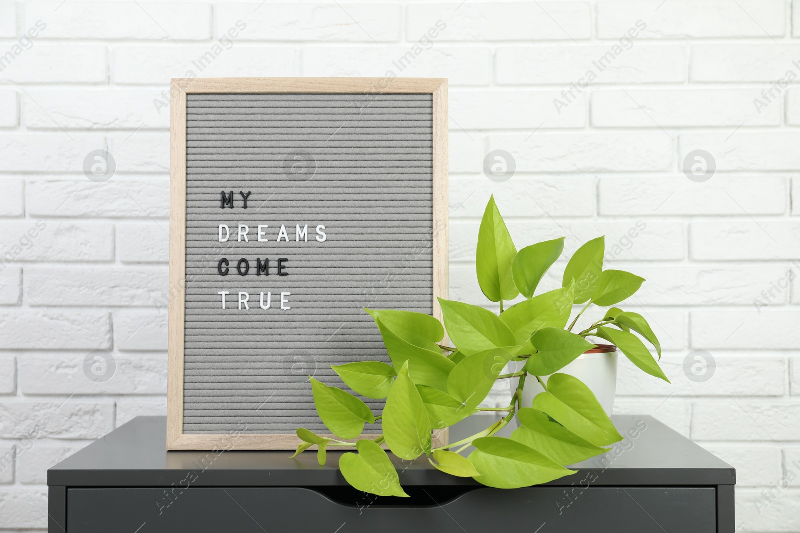 Photo of Letter board with phrase My Dreams Come True and plant on side table near white brick wall