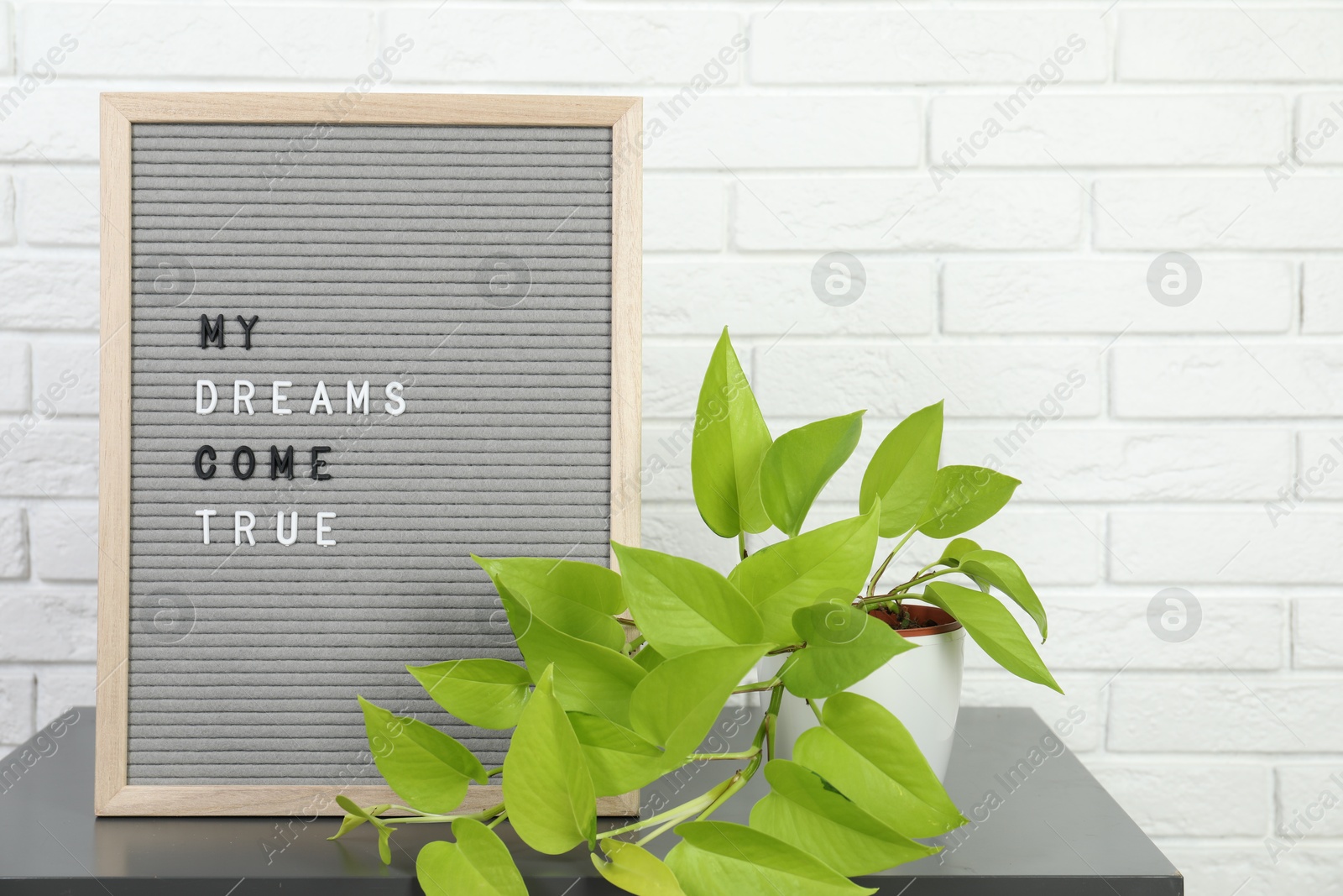 Photo of Letter board with phrase My Dreams Come True and plant on side table near white brick wall