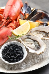 Many different sea food on table, closeup