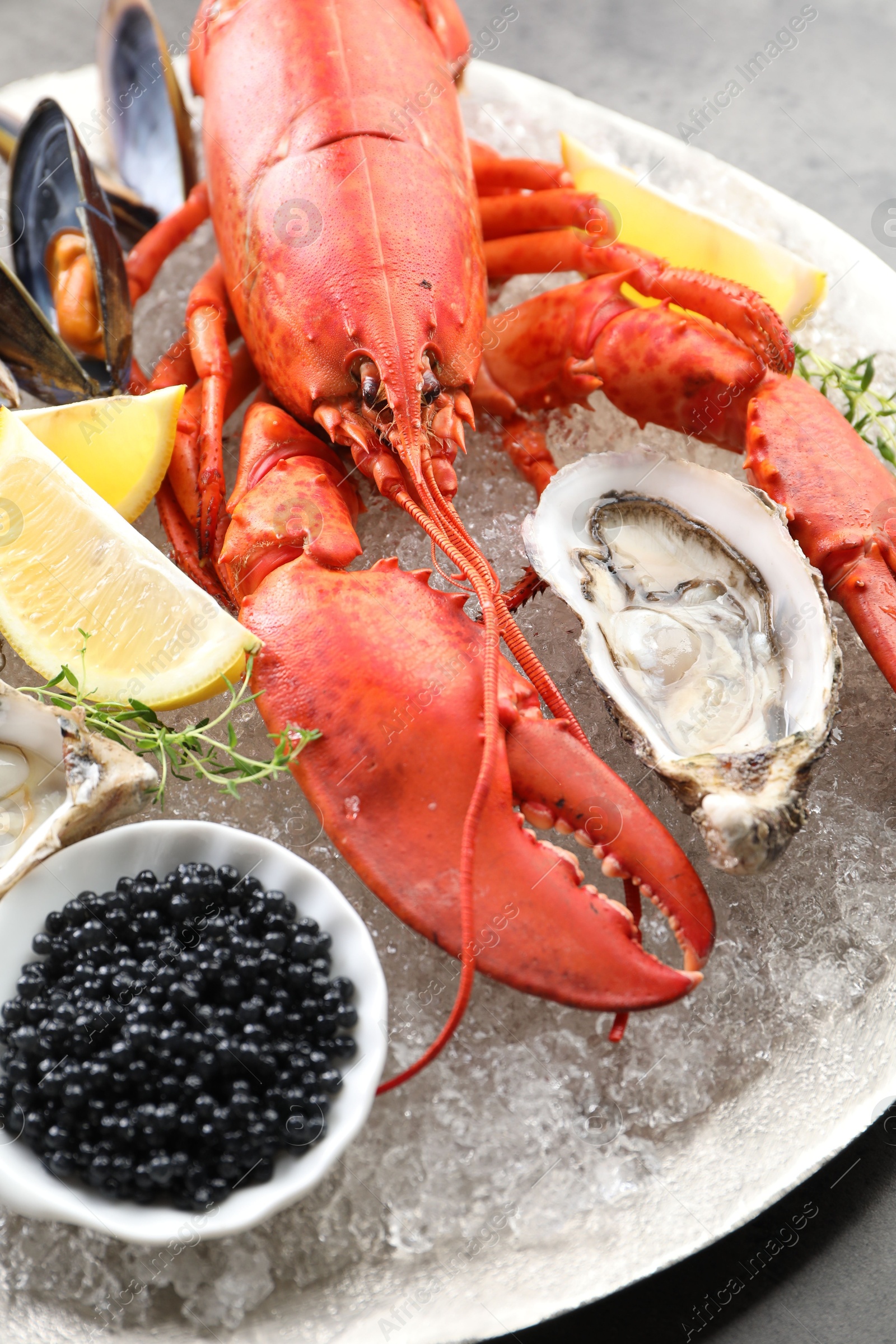 Photo of Many different sea food on table, closeup