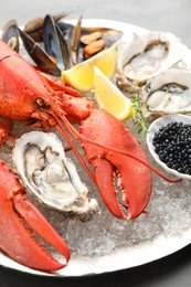 Many different sea food on table, closeup