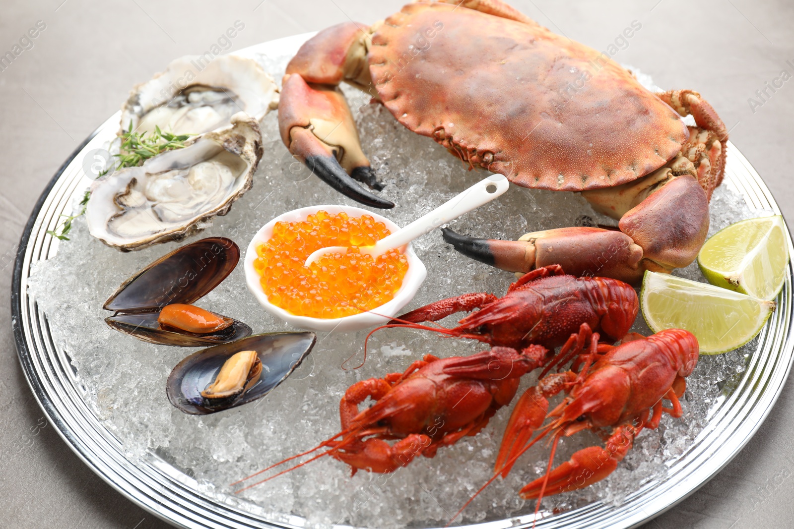 Photo of Many different sea food on table, closeup