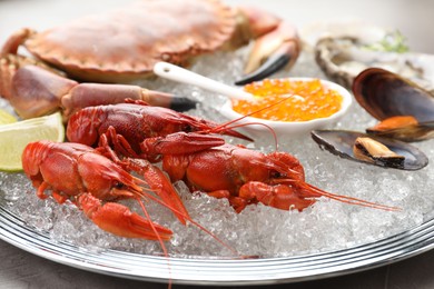 Many different sea food on table, closeup