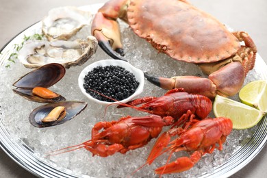 Photo of Many different sea food on table, closeup